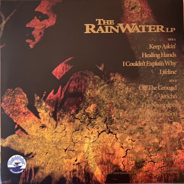 Citizen Cope : The Rainwater LP (LP, Album, Num, RE)