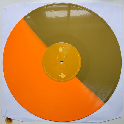Bad Religion : The Process Of Belief (LP, Album, Ltd, RE, RP, Ora)