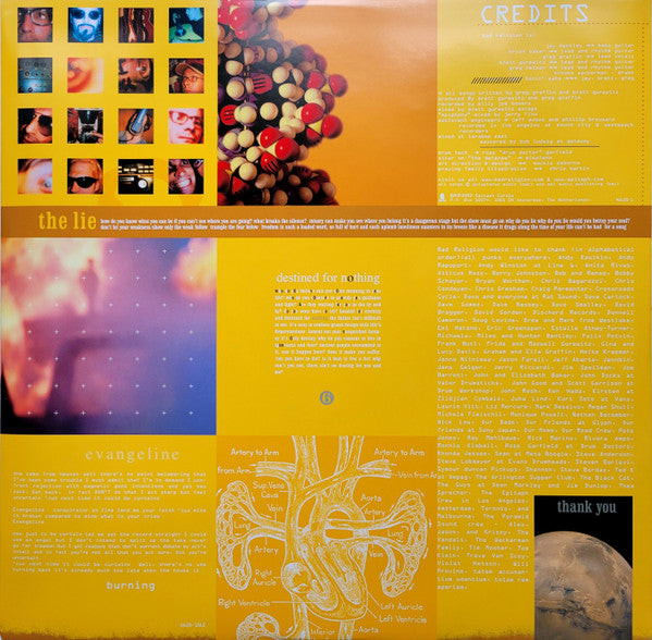 Bad Religion : The Process Of Belief (LP, Album, Ltd, RE, RP, Ora)