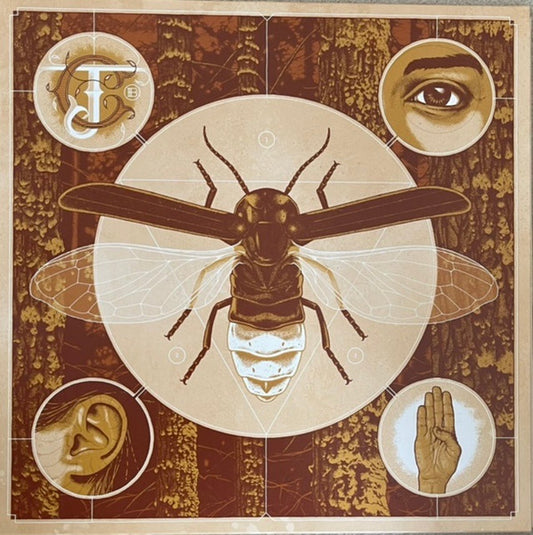 Jerry Cantrell : Brighten  (LP, Ltd, Num, S/Edition, Cle)