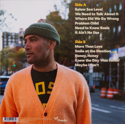 Ben Harper : Bloodline Maintenance (LP, Album)