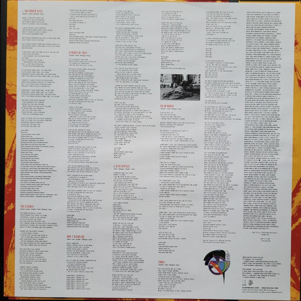 Guns N' Roses : Use Your Illusion I & II (Box, Comp, Ltd, Num, RM, S/Edition, Sli + LP, Albu)