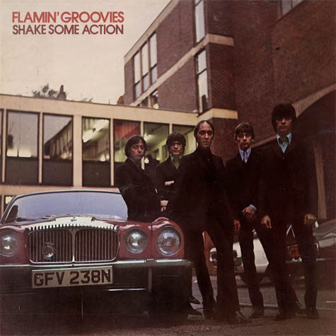 The Flamin' Groovies : Shake Some Action (LP, Album)