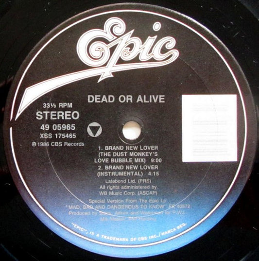 Dead Or Alive : Brand New Lover (12")