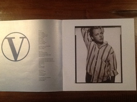 Pixies : Bossanova (LP, Album)