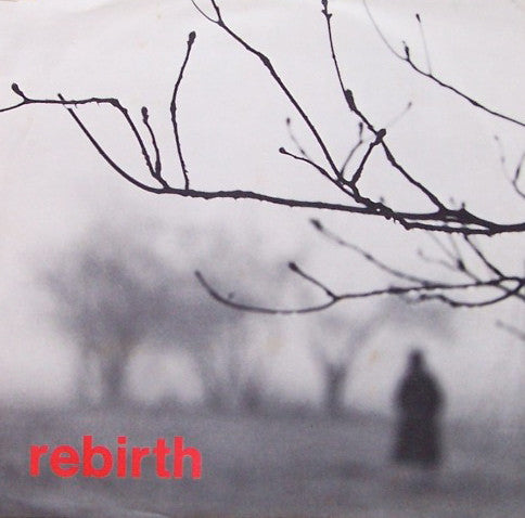 The Harbour Light : Rebirth (LP)